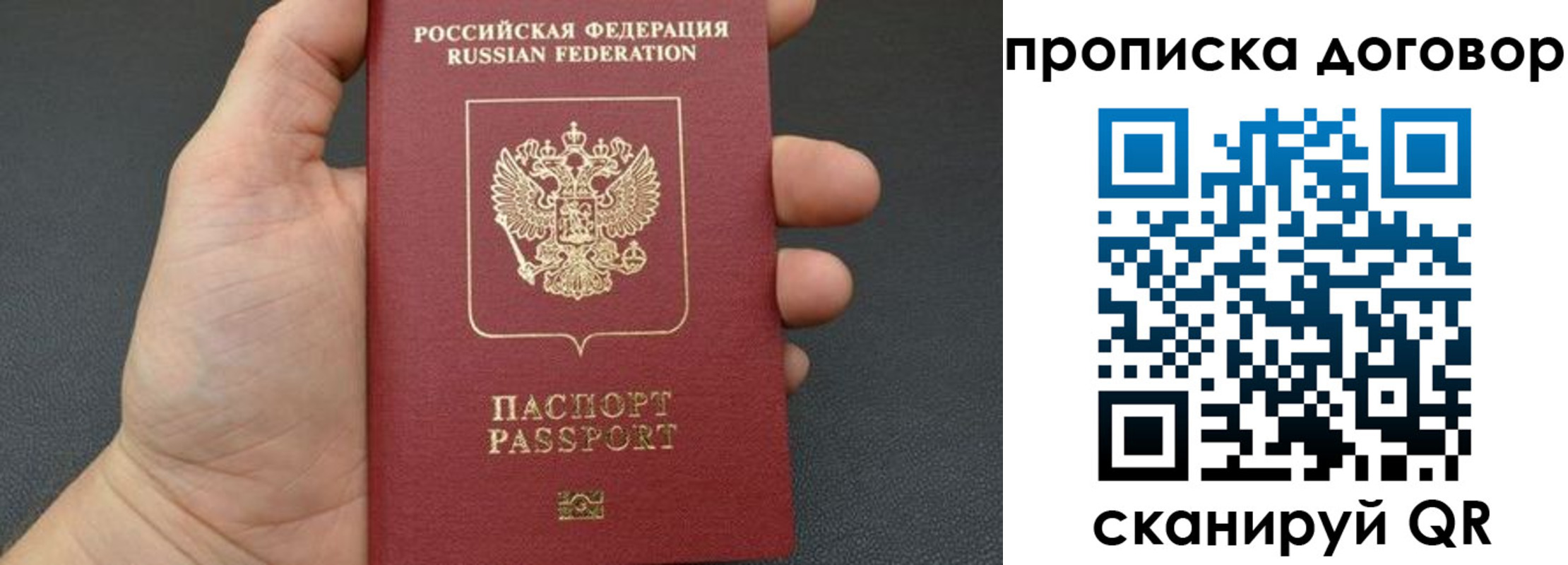 прописка в Судогде